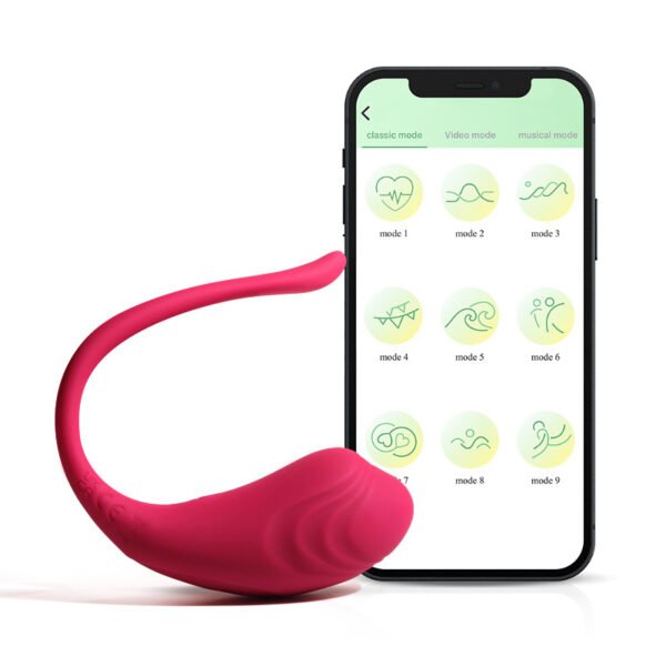 APP Vibrator