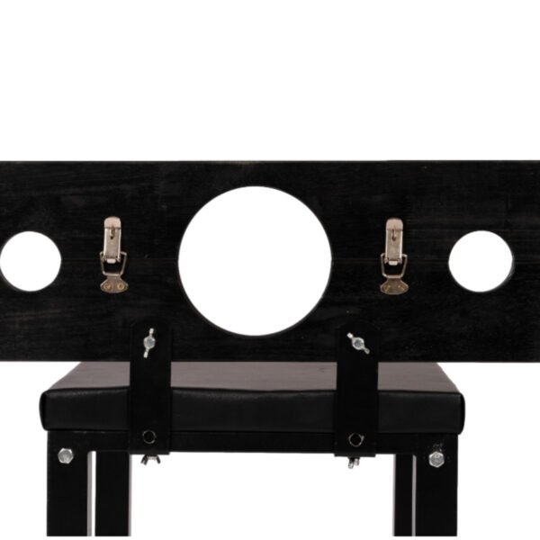 Sex Furniture Chair XTT-8855 - Image 4