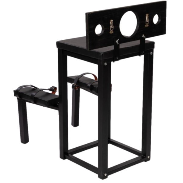 Sex Furniture Chair XTT-8855 - Image 2