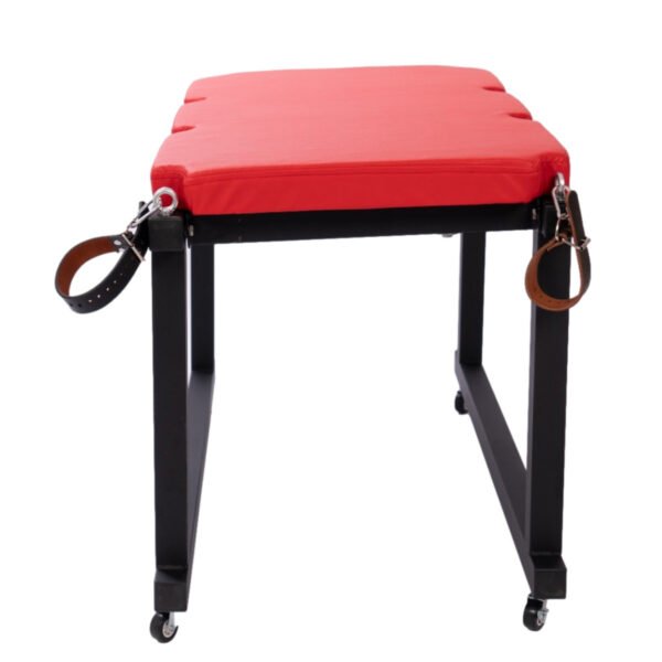 Sex Furniture Chair XTT-8846 - Image 6