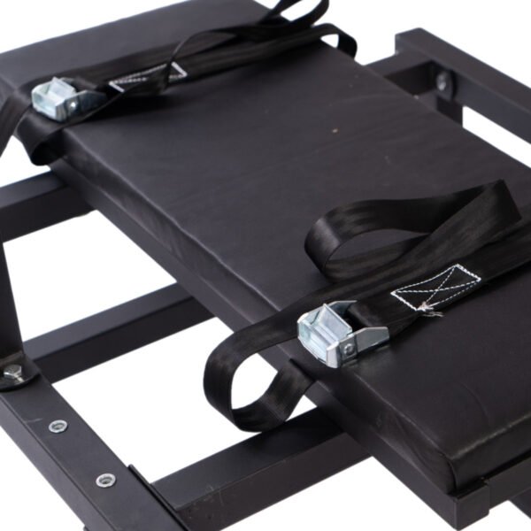 Sex Furniture Chair XTT-8821 - Image 7