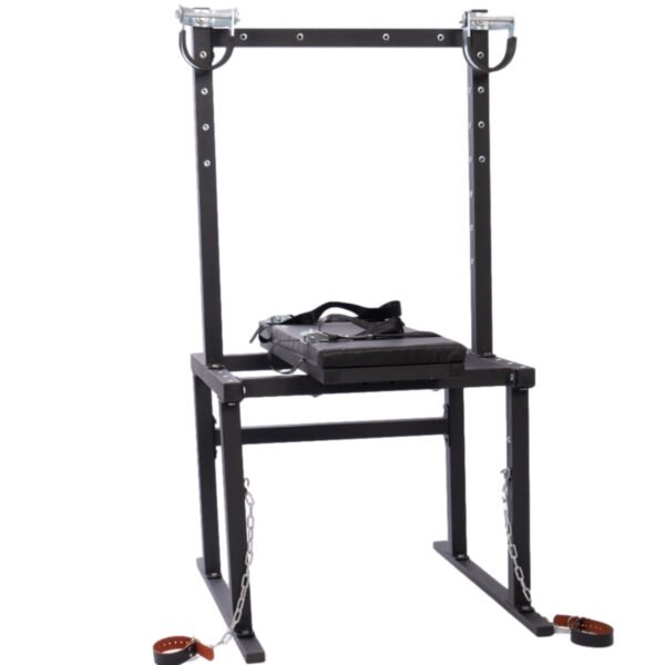 Sex Furniture Chair XTT-8821